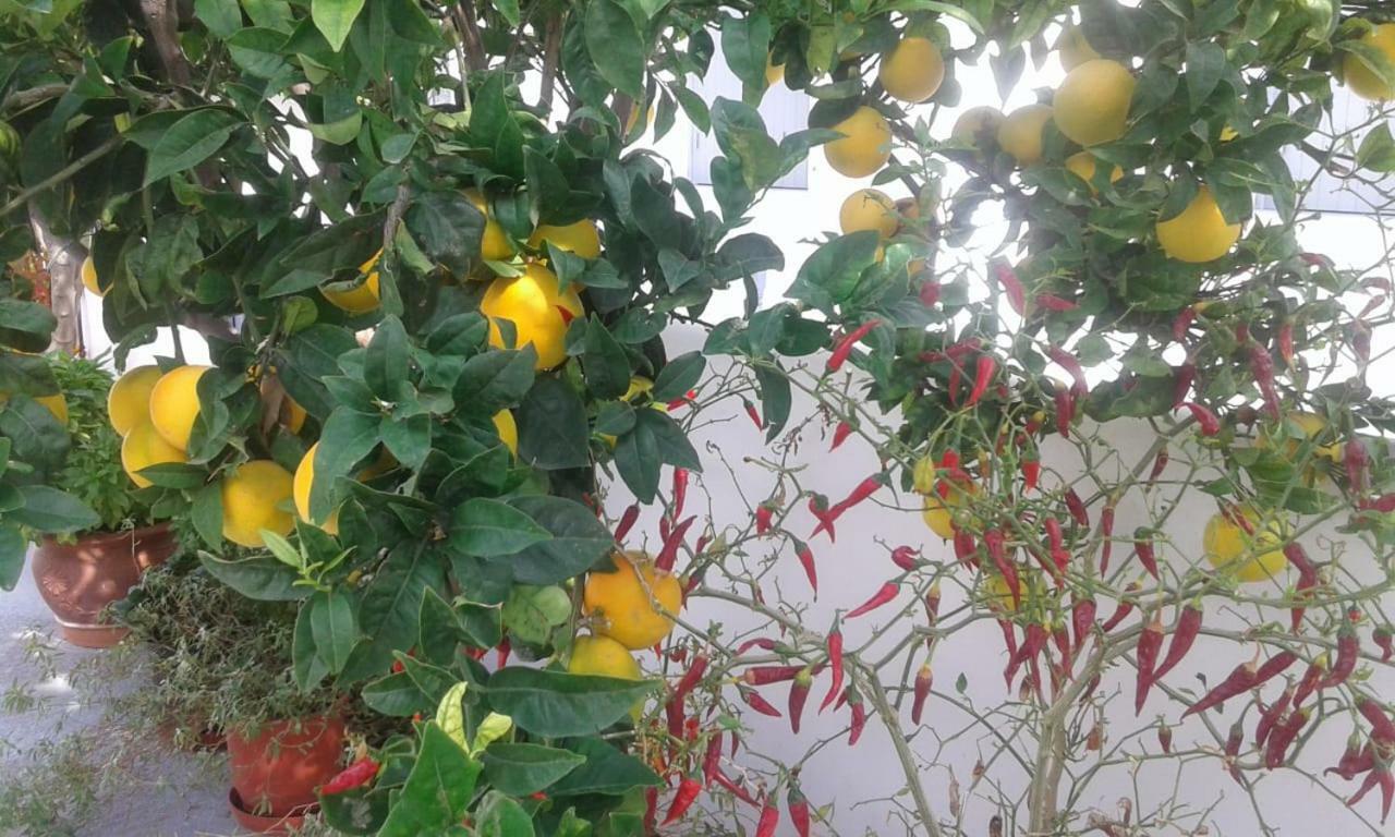 TriovasálosMatilda Milos - Cycladic Living公寓 外观 照片